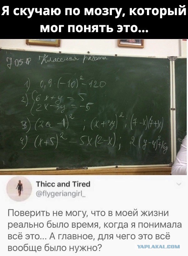 Так себе картинки 20.12.22