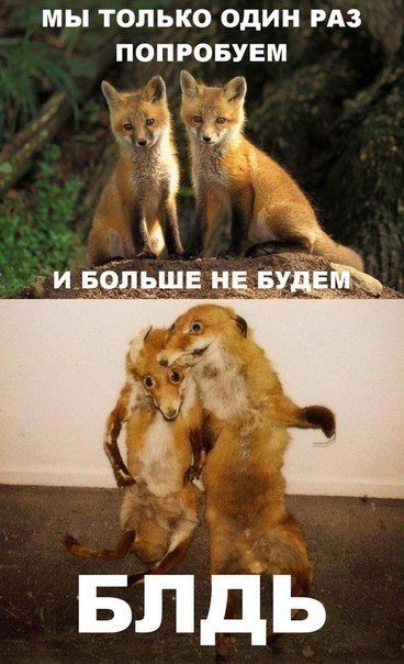 Маразм крепчал