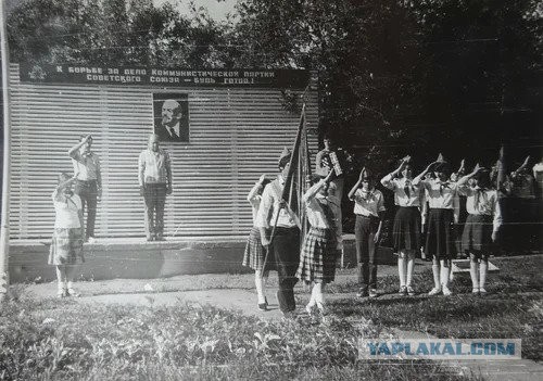 Недетские приключения в детском лагере