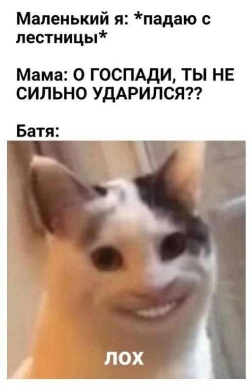 Всего понемногу.