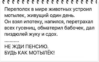 Так себе картинки 13.04.24