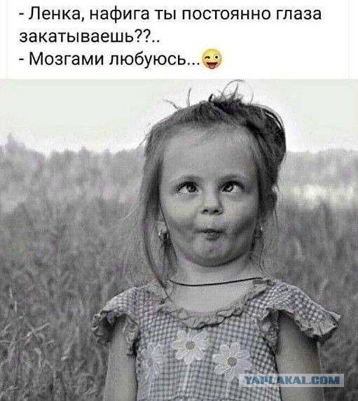 Володин заявил, что Бастрыкин словами о «Госдуре» оскорбил народ