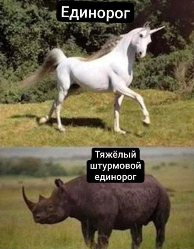 Веселые картинки к маленькой пятнице (17.07)