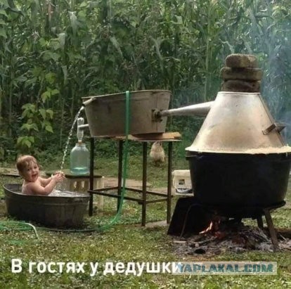 Картинки для сегодня