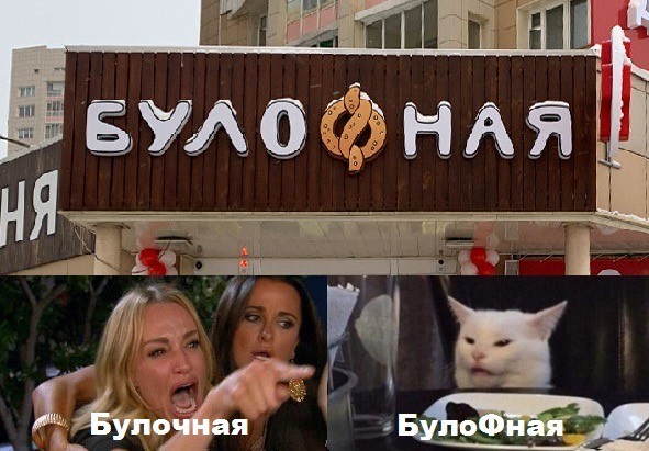 Знаменитый кот