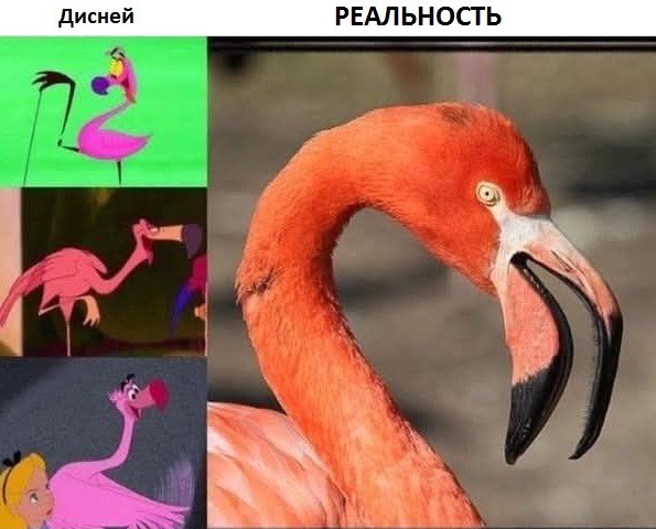 Веселое настроение в картинках (31.07.2025)