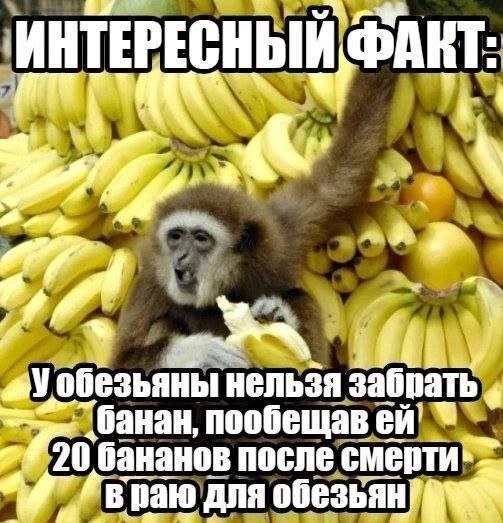 Так себе картинки 09.12.25