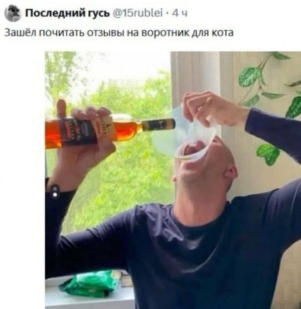 Субботние картинки