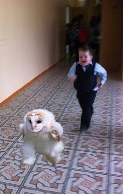 Динамо бежит? Все бегут.