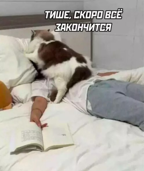 Картинки для деградации 231 (разной степени свежести)