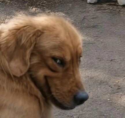 Прызыв
