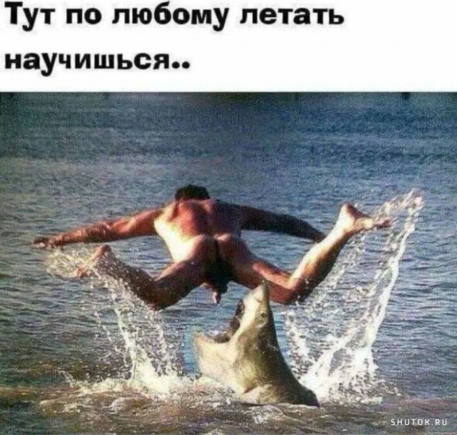 С друзьями не соскучишься