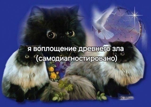 Психомемы-16