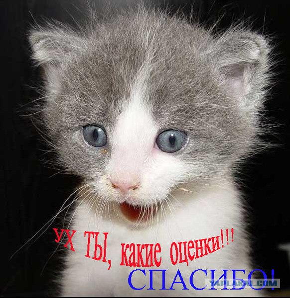 Что бывает, если поставить единицу на мейлрушечке