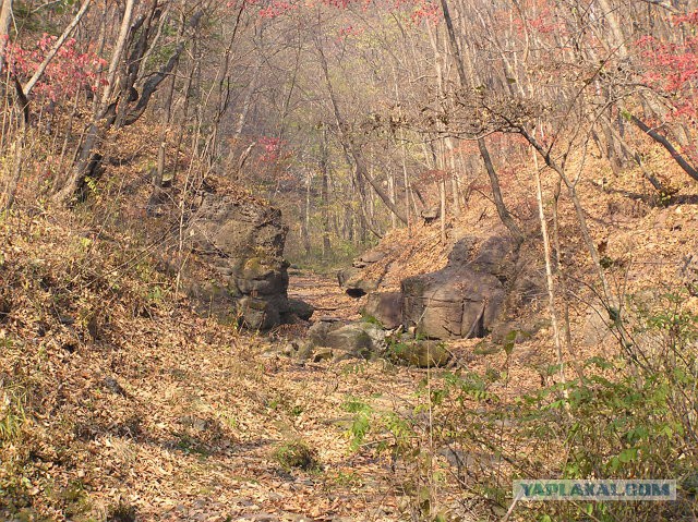 Природа Приморского края