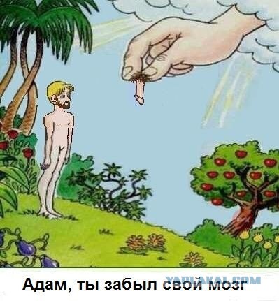 Смешные картинки из соц. сетей.