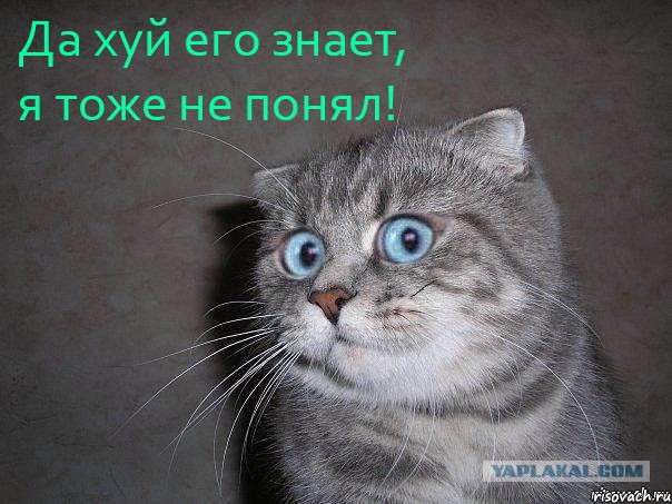 Евразийская плита разрывается?
