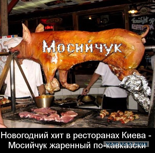 Мосийчук бросил вызов Кадырову