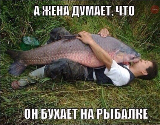 Картинки разные