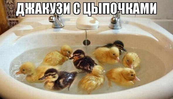 Улыбнёмся?:)