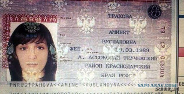 Плюшкиным посвящается