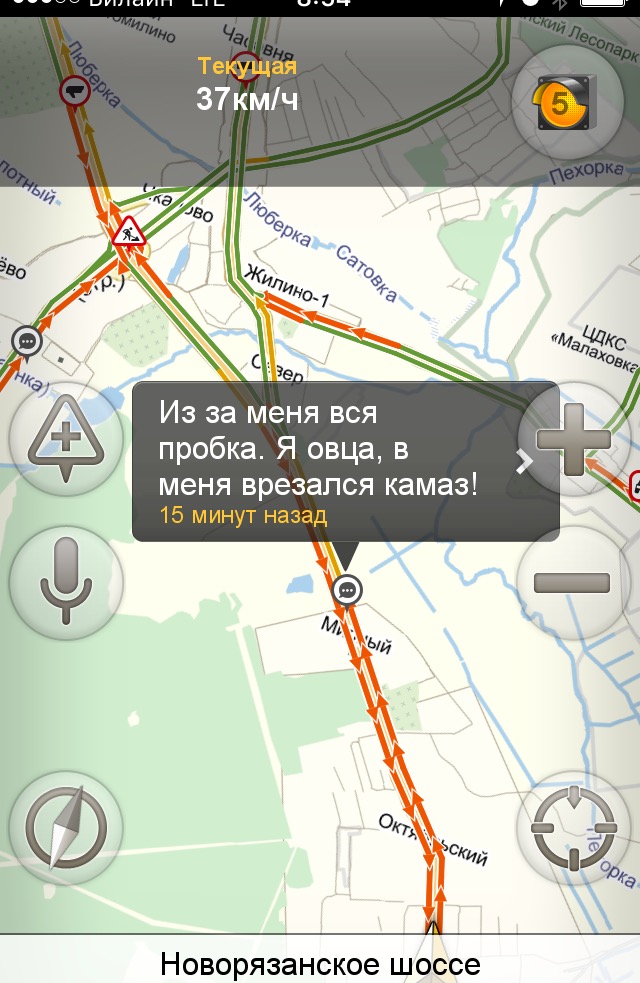 А поутру они проснулись...