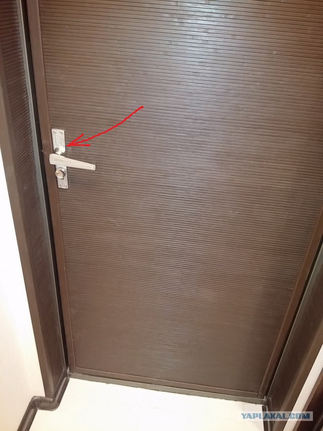 2 года ада глазами кошки