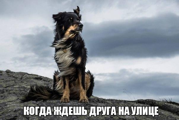 Картинки на утро вторника