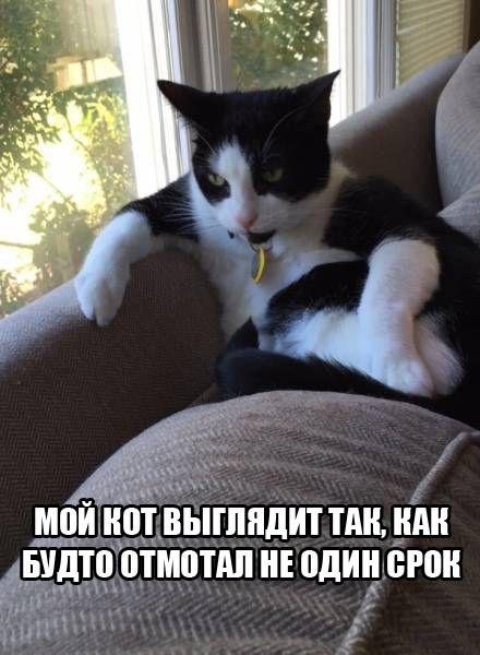 Подборка Картинок из сети