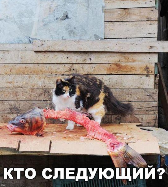 Субботняя подборочка картинок