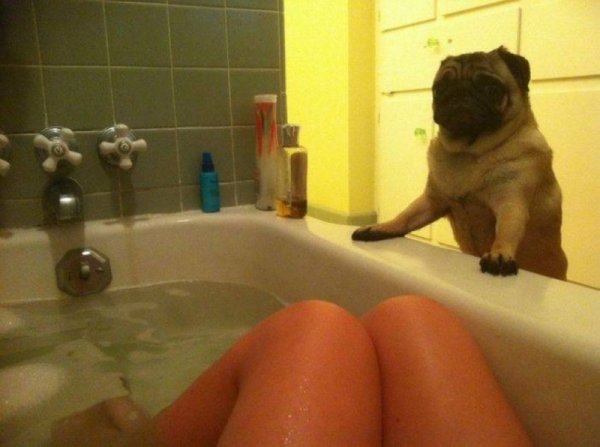 Абсурдный юмор