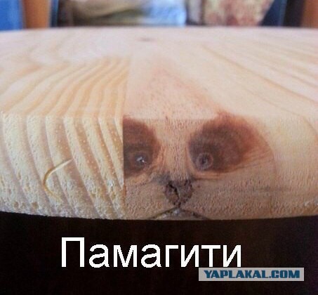 Пилим мебель из поленьев