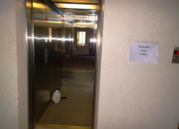 Прикольные животные