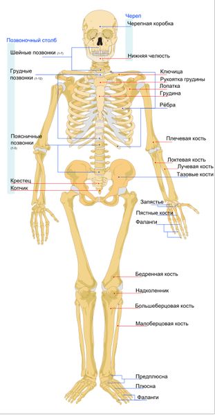 7 изобретений, сделанных настолько хорошо, что они никогда не нуждались в улучшении
