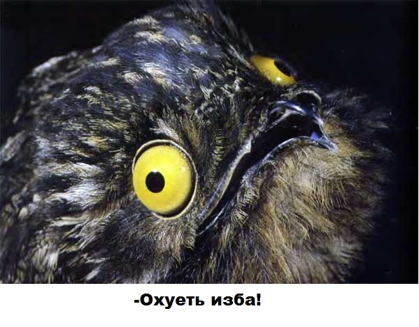 Мастерим скворечник