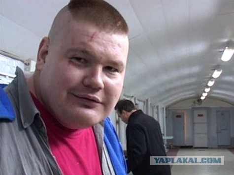 Волки съели алабая