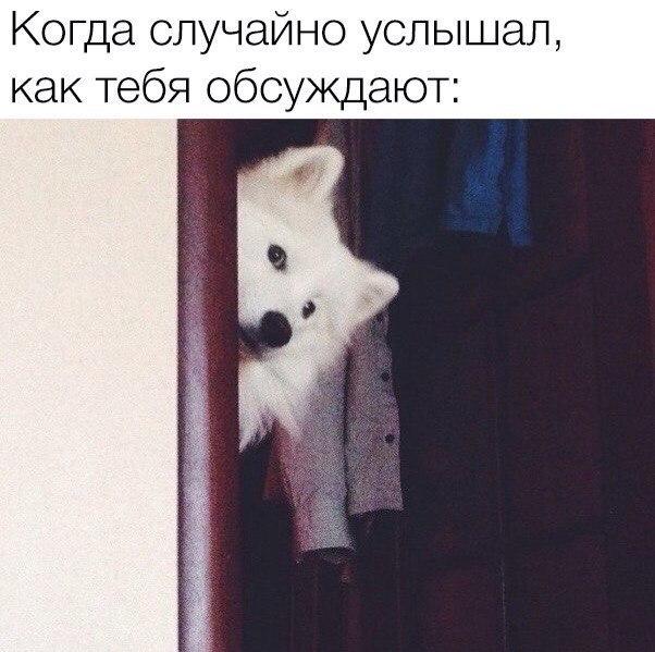 Картинок всяких #2
