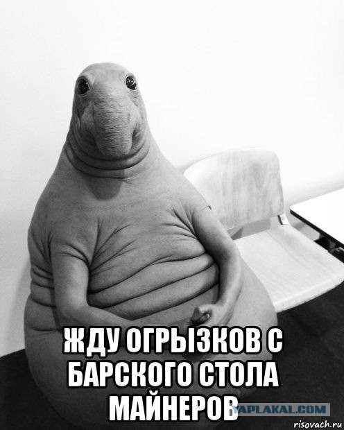 Золотая лихорадка: наши дни