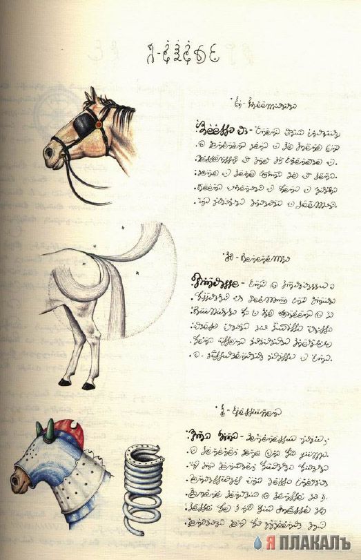 Codex Seraphinianus - что курил автор?