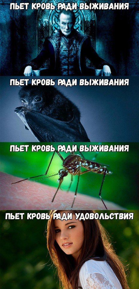 Смешные и не очень картинки из этих ваших интернетов