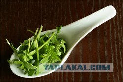 5 новых афродизиаков. Употреблять с осторожностью!
