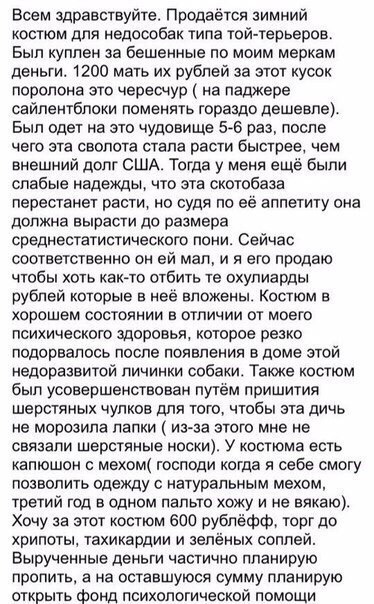 Почему бы не подеградировать, коллеги?