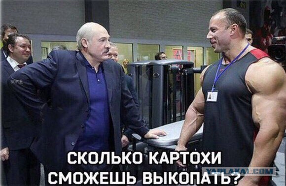 А вот и деградация подтянулась! Ныряем в омут с головой!