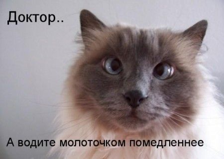 Не смешите меня