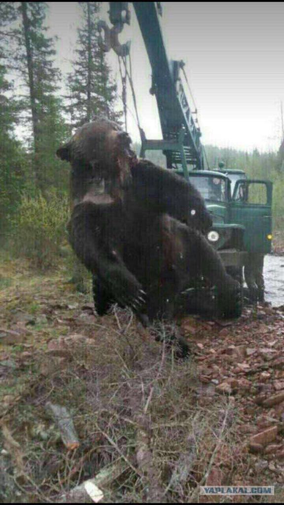 Когда притупляется инстинкт самосохранения...