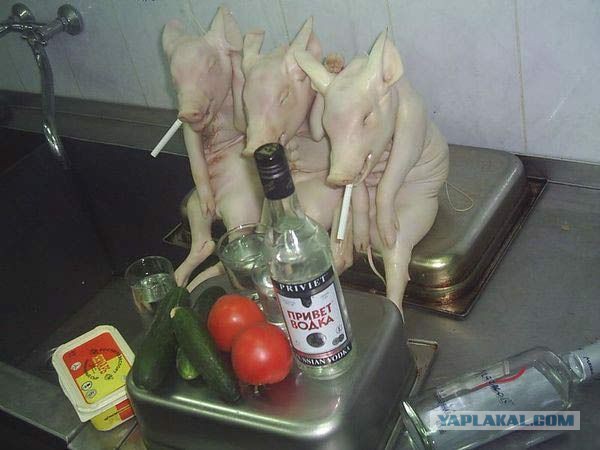 «Злая шутка природы» - эксперт о жутком создании из Приморья