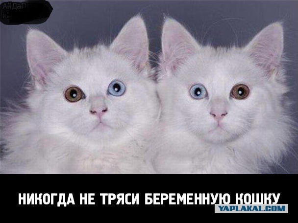 «Мне дали подзатыльник, чтоб посмотреть, выпадут ли линзы»