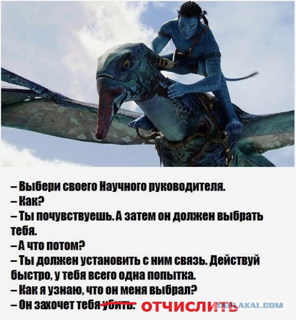 Околонаучный юмор