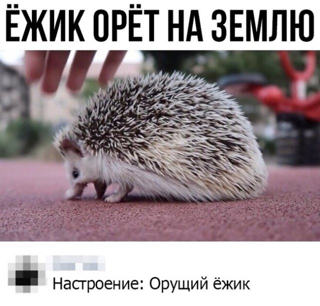 Нестандартный юмор