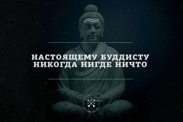 Посмотрите, почитайте, поугорайте, подумайте